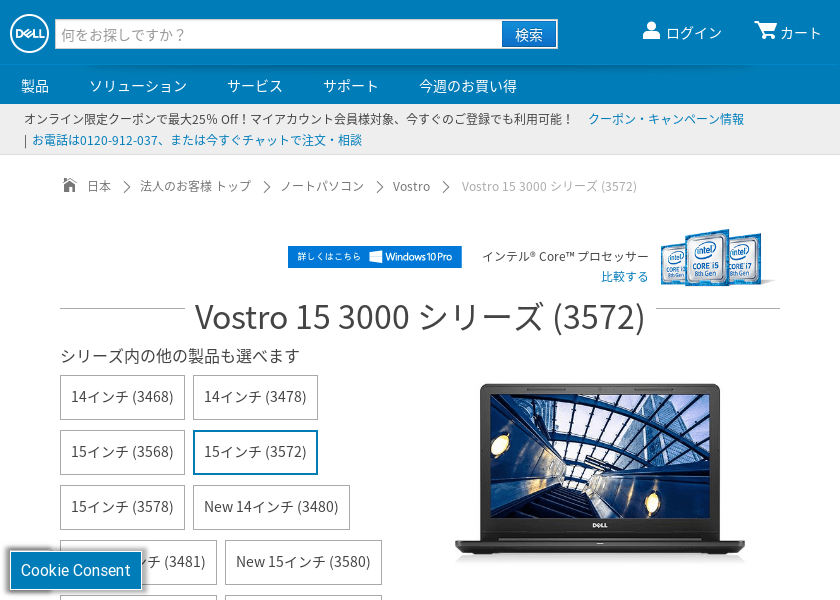 Screenshot of Dell Custom model