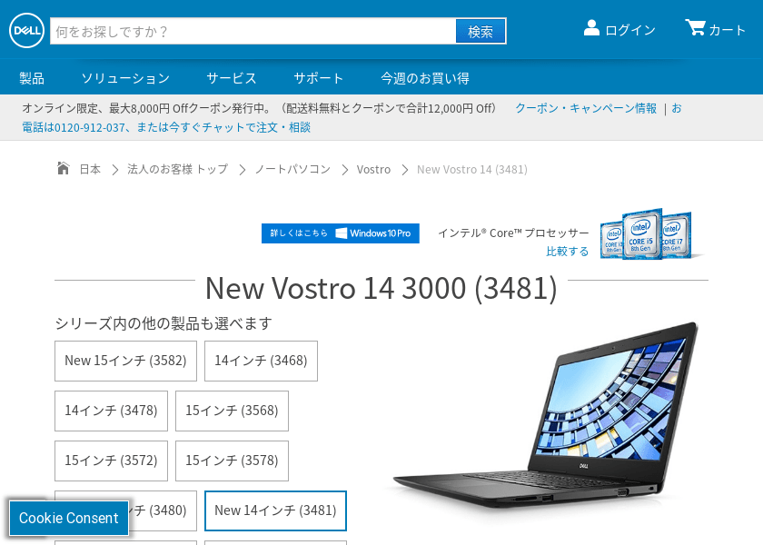 Screenshot of Dell Custom model