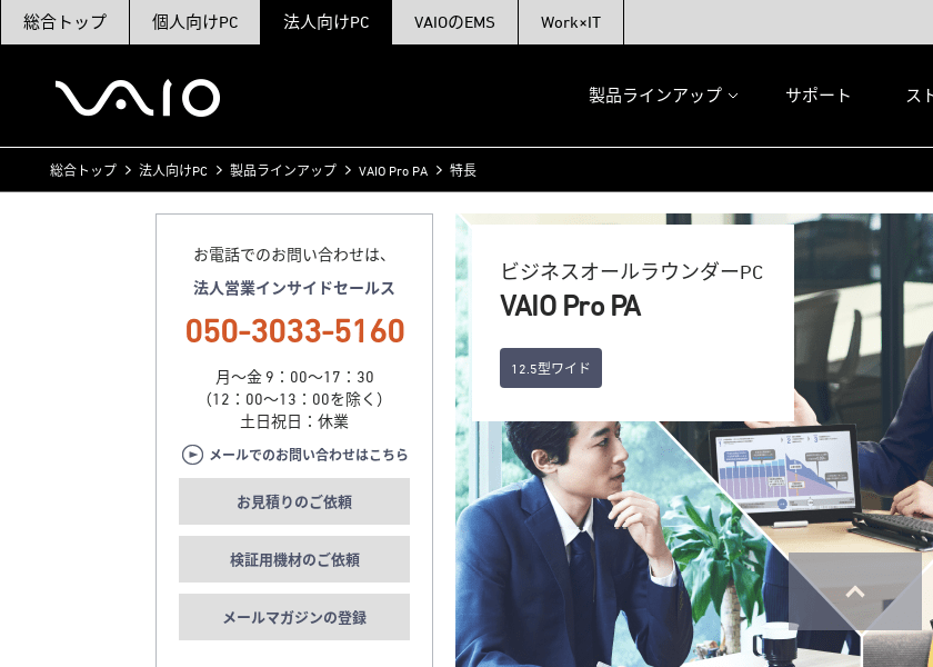 Screenshot of VAIO Custom model